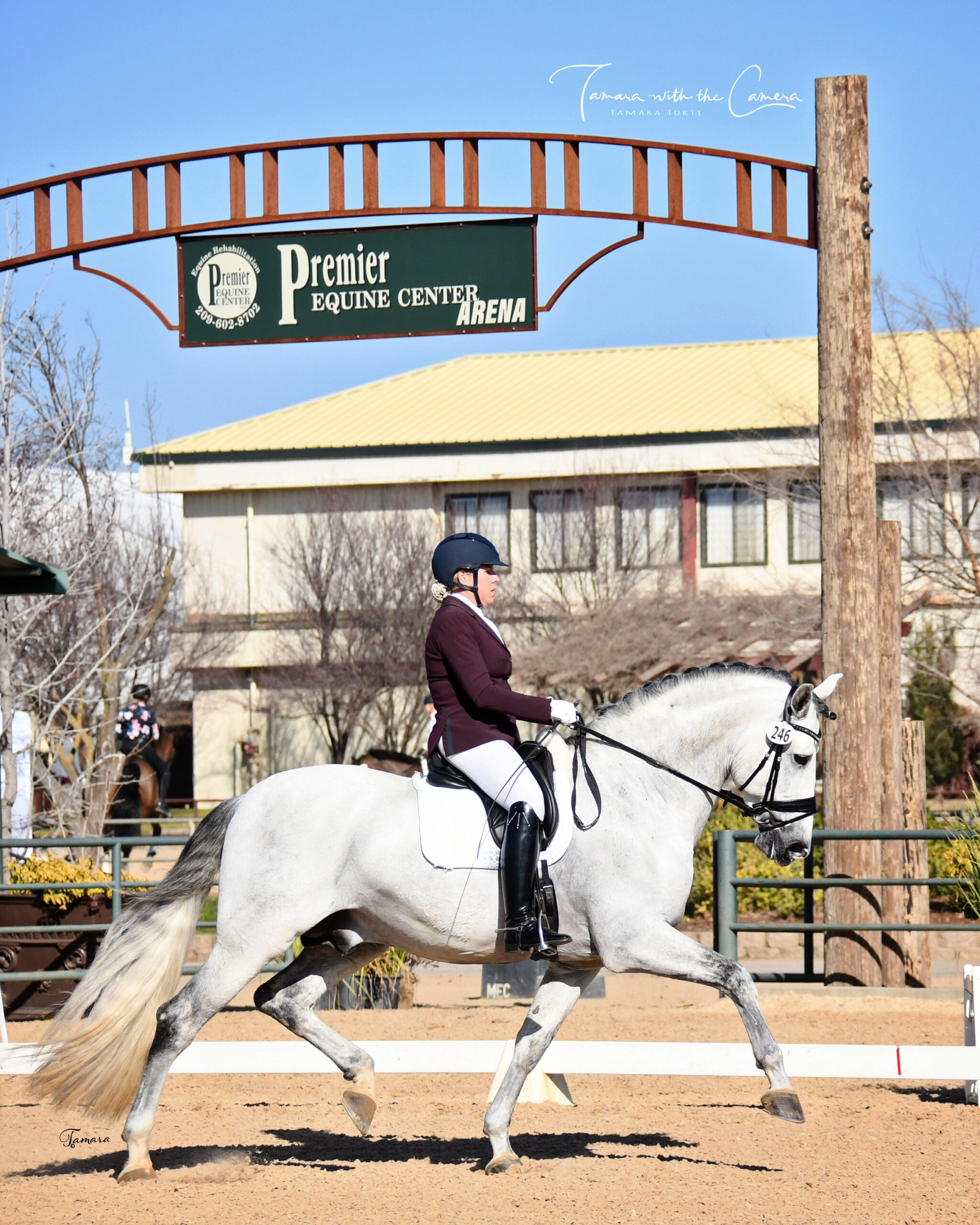 2024 SHOW SEASON Golden State Dressage