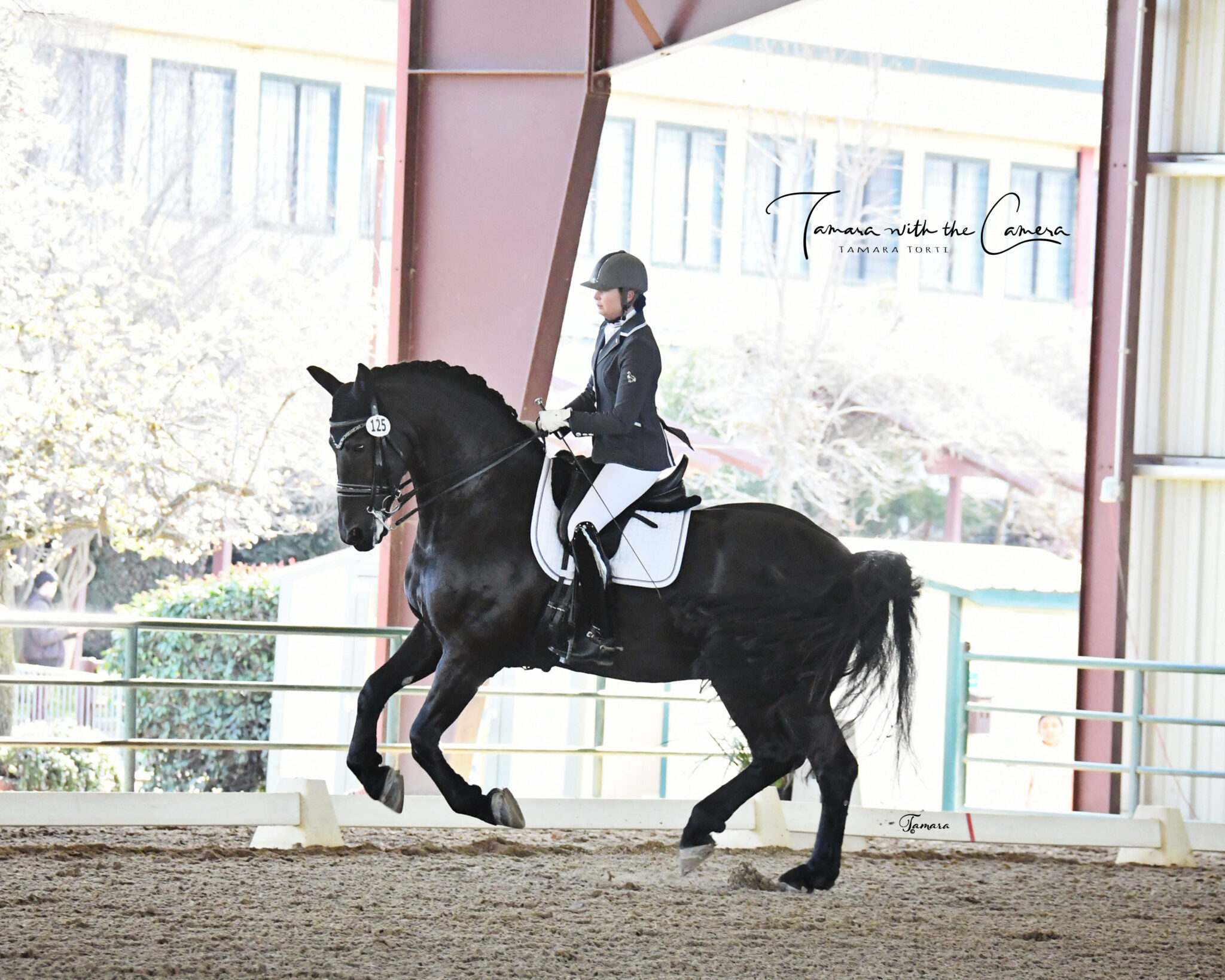 2024 SHOW SEASON Golden State Dressage