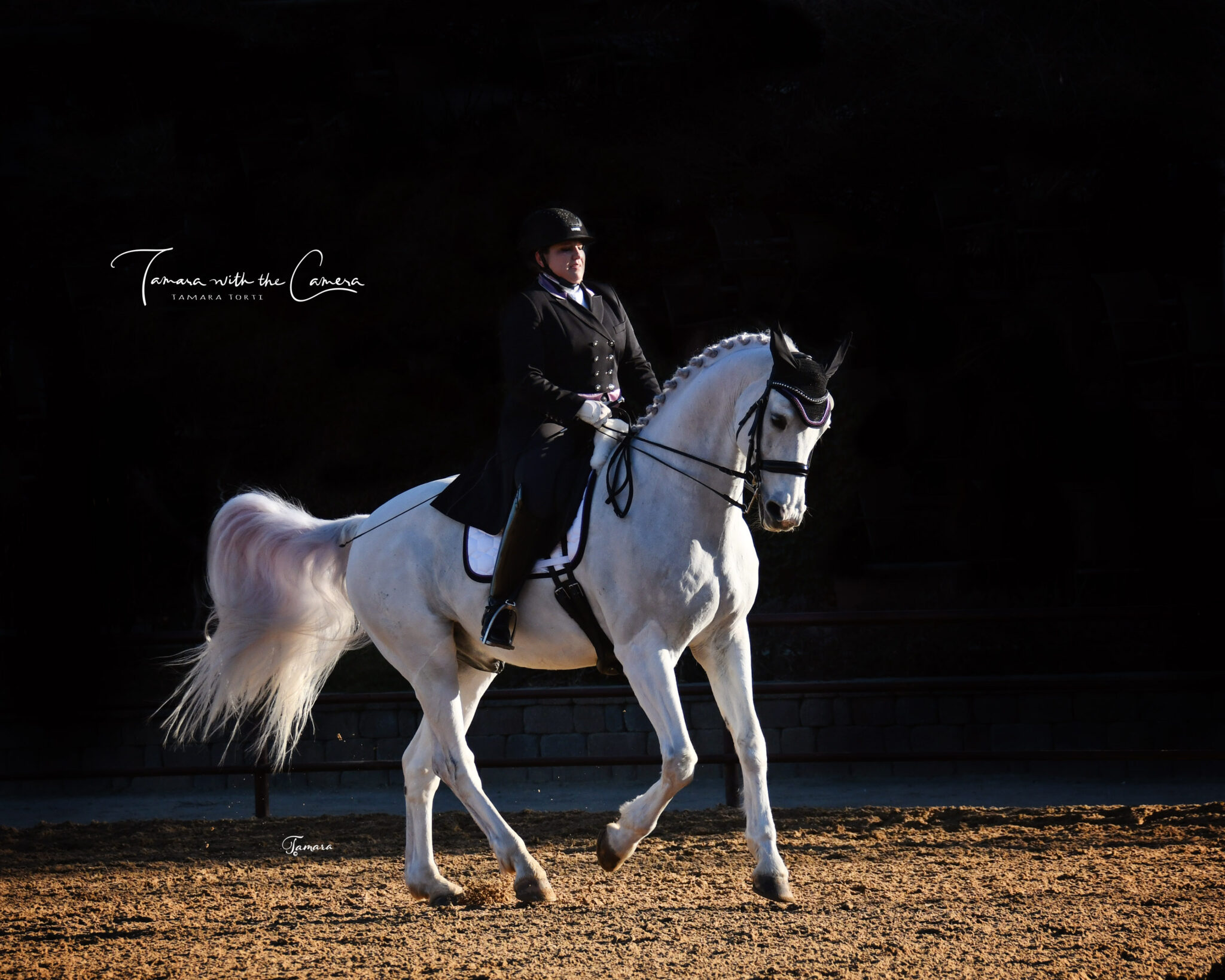 2024 SHOW SEASON Golden State Dressage